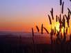 Maremma - Tuscany